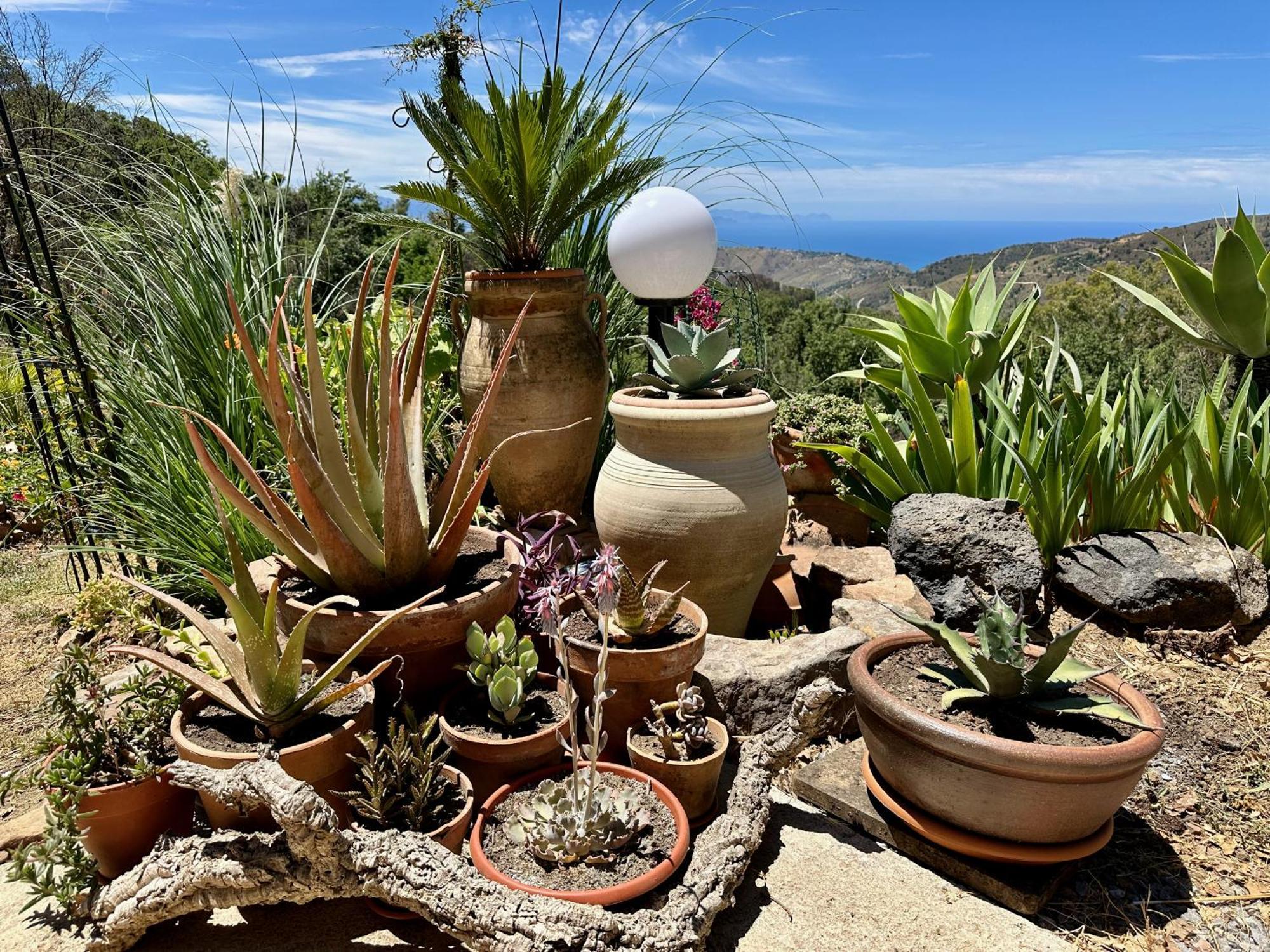 Cefalu Forest Hideout Exterior photo